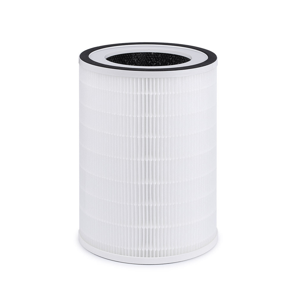 Homintell Accessoires pour Purificateur d'Air Kilo/Mercury Filtre HEPA