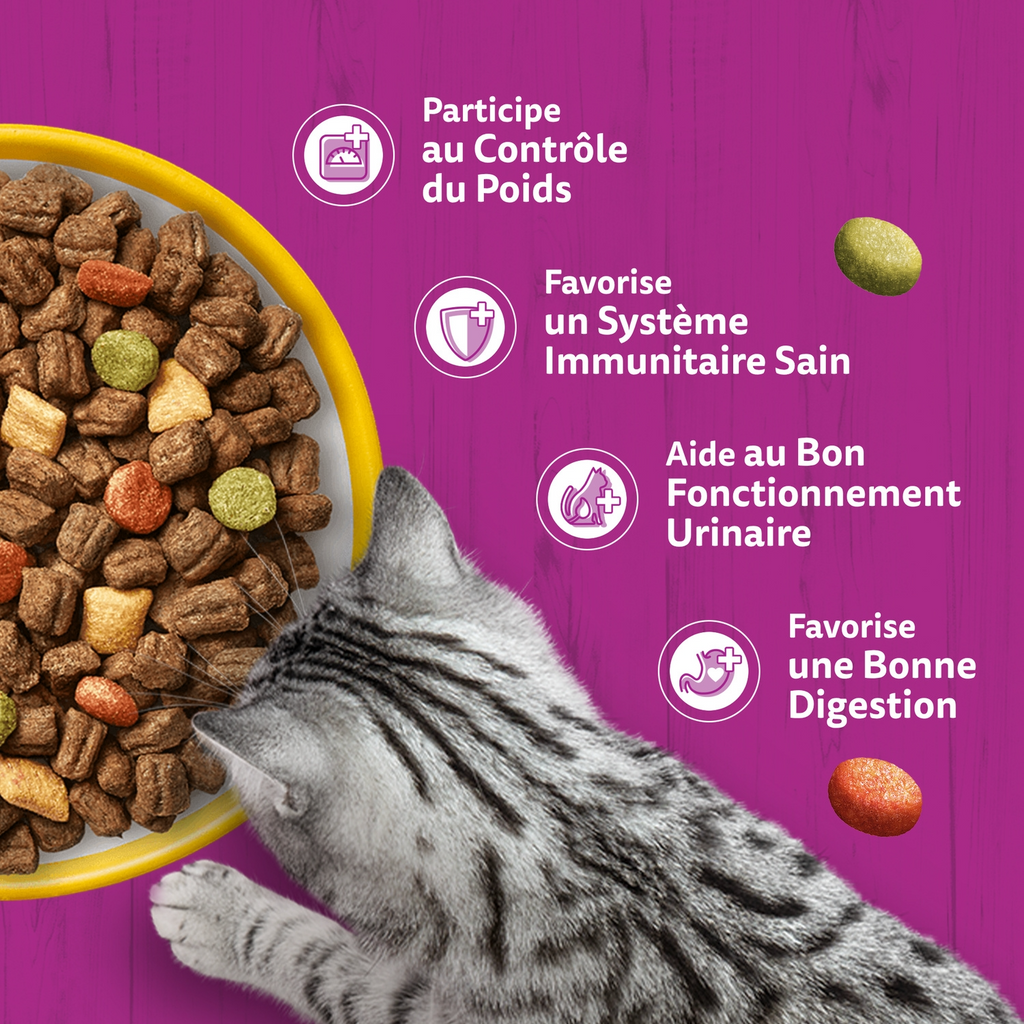 Whiskas Croq Poulet Croquettes pour Chat 1,4 kg
