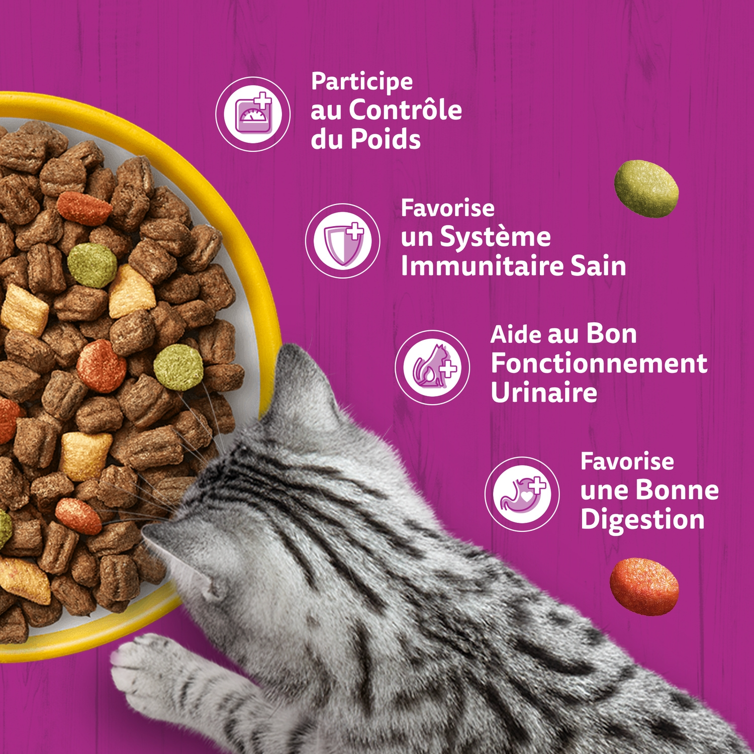 Whiskas Croq Poulet Croquettes pour Chat 1,4 kg