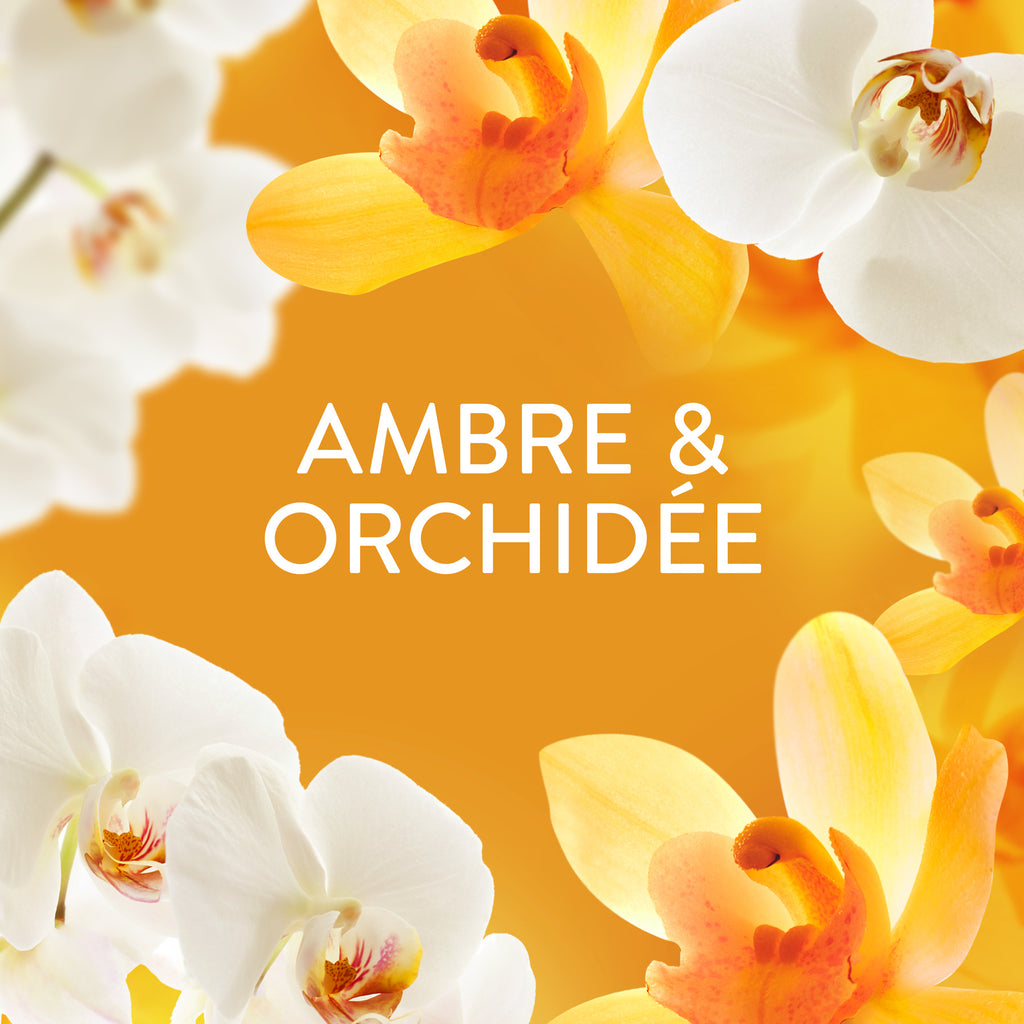 Lenor Parfum de linge en perles Ambre et orchidée 240 g