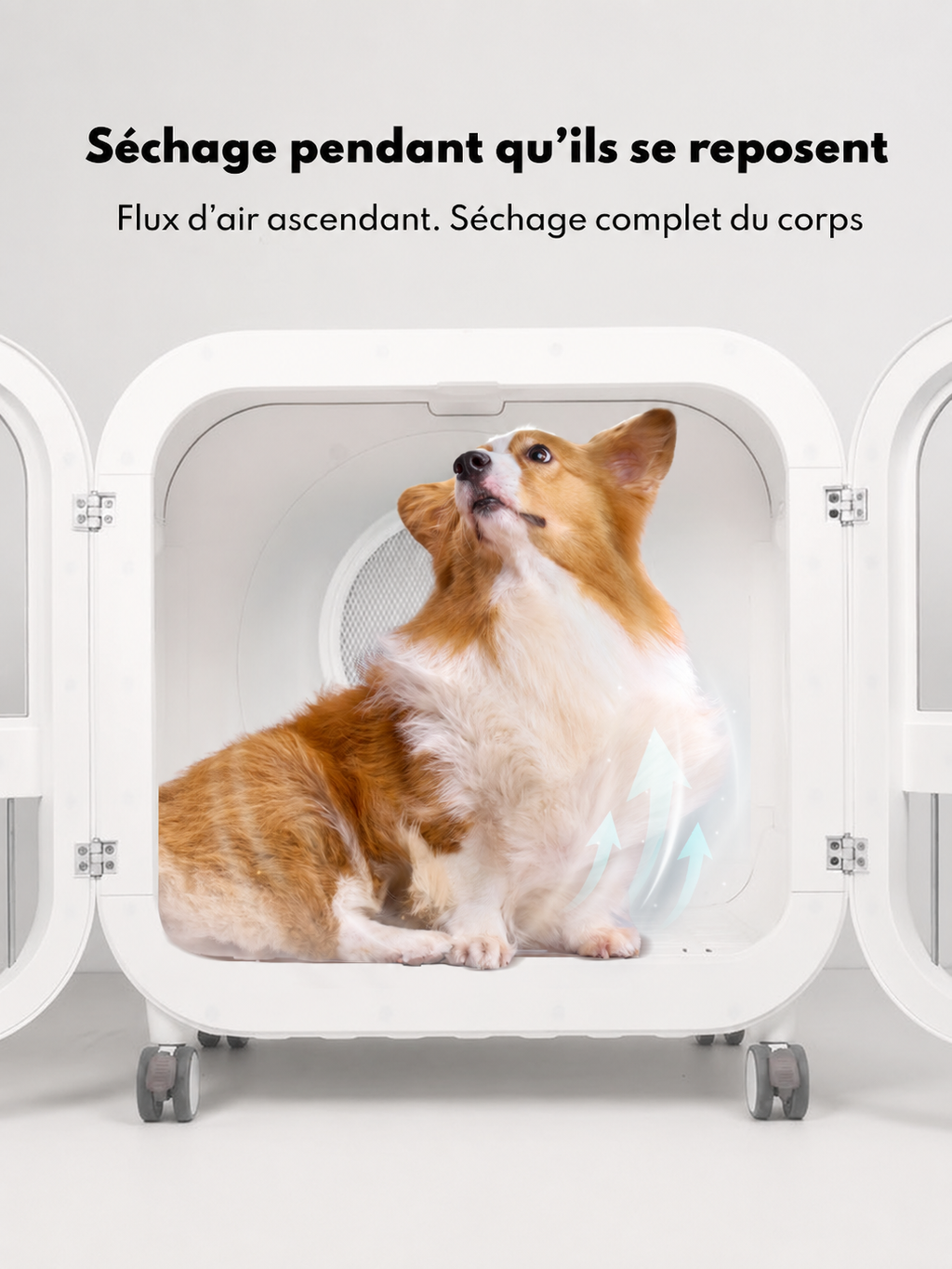 Homerunpet 135 L Deluxe Edition Sèche-Animaux, PD135, Séchage de Qualité Salon, Air Doux à 40 °C, Fonctionnement Ultra-Silencieux, Lit et Sèche-Animaux 2 en 1