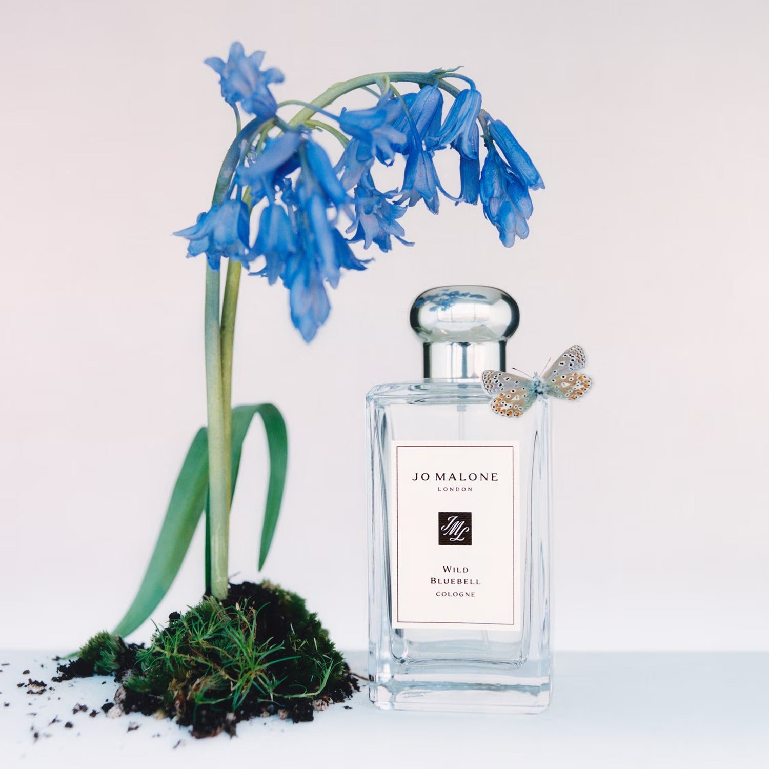 Jo Malone Parfum jacinthe des bois 100 ml