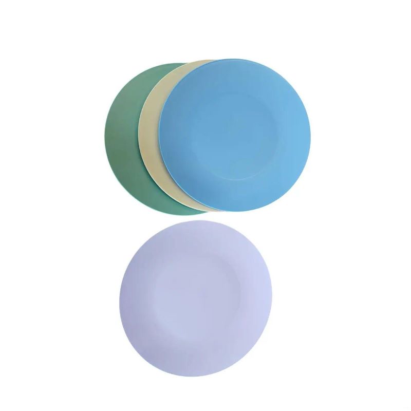 Assiettes plates en plastique, 10 pouces, lot de 4, compactes et portables pour la maison
