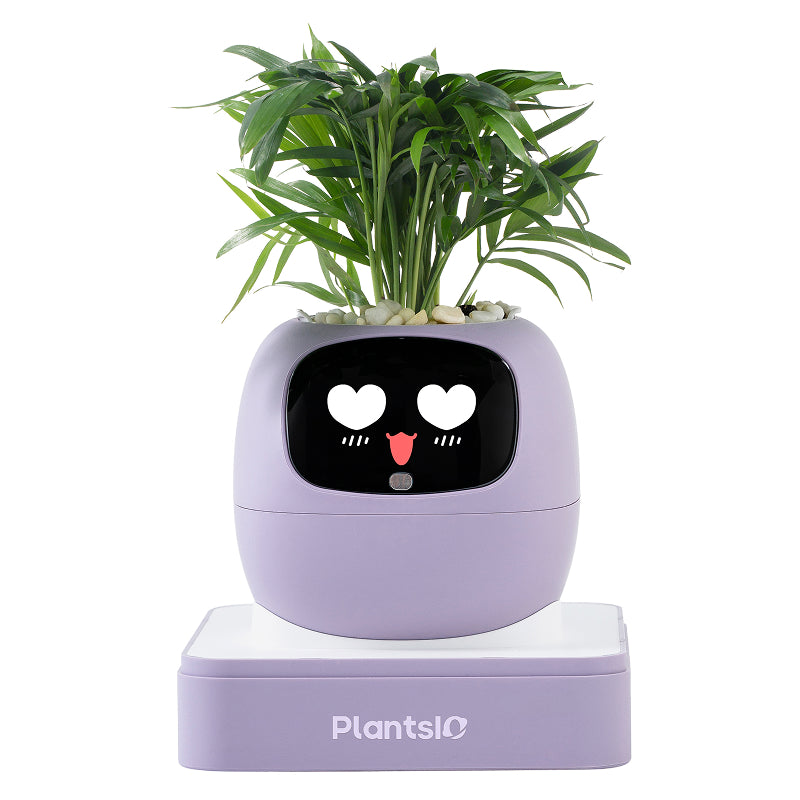 Cadeau d'été pour embellir votre intérieur – Pot de plante intelligent IA Ivy, interaction par expressions faciales, entretien intelligent des plantes