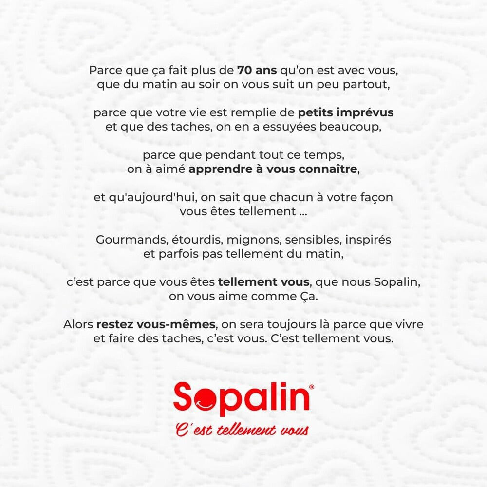 SOPALIN Essuie-tout Motif Décoratif Certifié FSC, 12 Maxi Rouleaux (4 Paquets de 3)