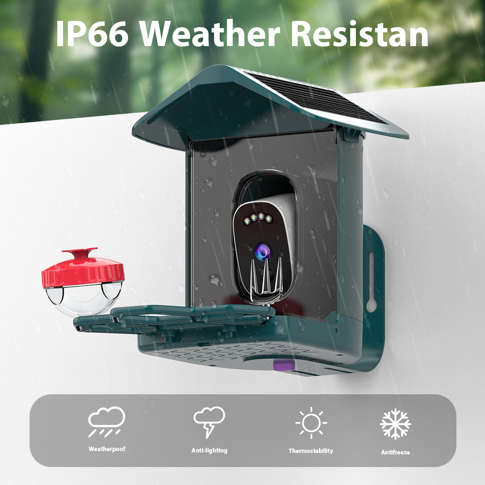 JOOAN Alimentateur intelligent solaire pour oiseaux Wi‑Fi - Capte des photos et des vidéos Ultra HD 2K ! - Le cadeau parfait pour les amateurs d’ornithologie !