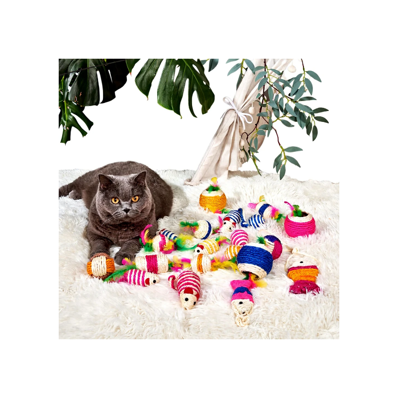 Meowmagic Lot de 4 jouets balles en sisal avec plumes