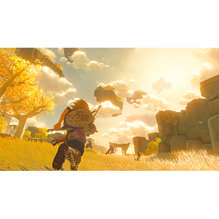 The Legend of Zelda: Tears of the Kingdom - Switch - Version Française