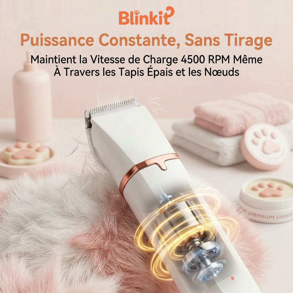 Blinkit Tondeuse électrique silencieuse pour animaux Blanc Mini 4 niveaux Étanche Longue autonomie Tondeuse à poils en céramique ZCC162