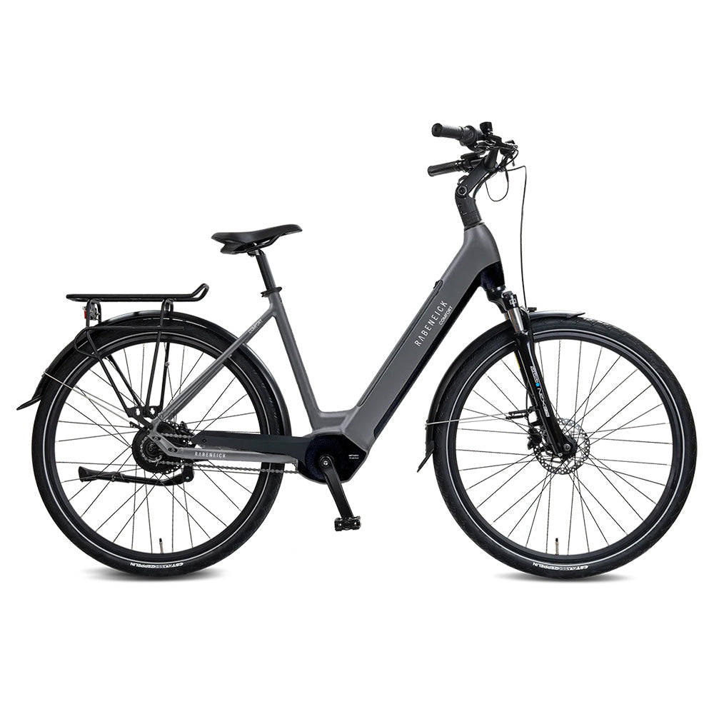 Rabeneick Vélo électrique Comfort Wave 51 Gris