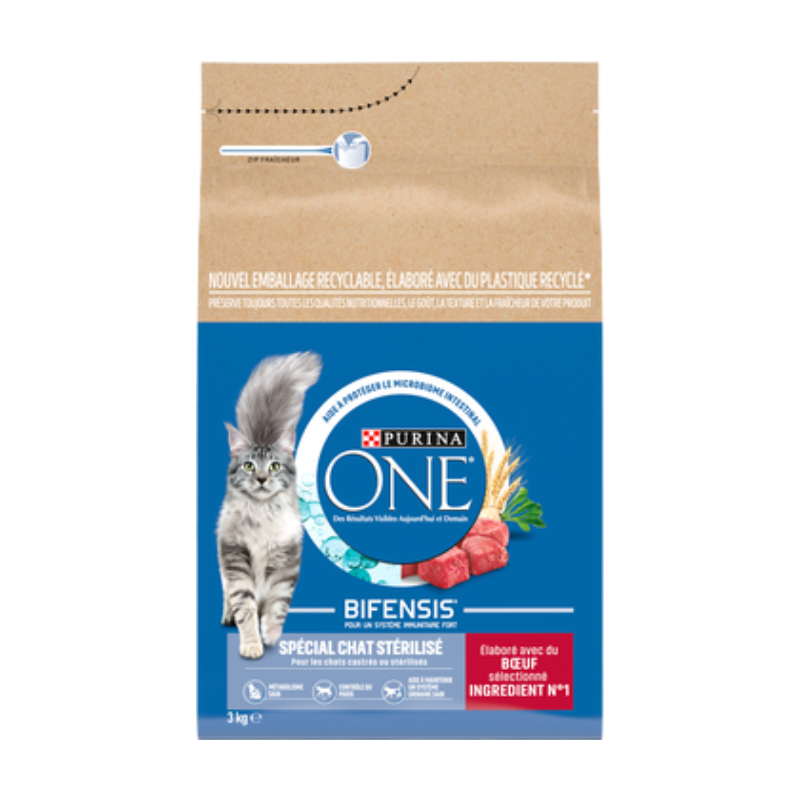 Purina ONE Complete Croquettes pour Chat Adulte, Saveur Bœuf, Sachet de 3 kg