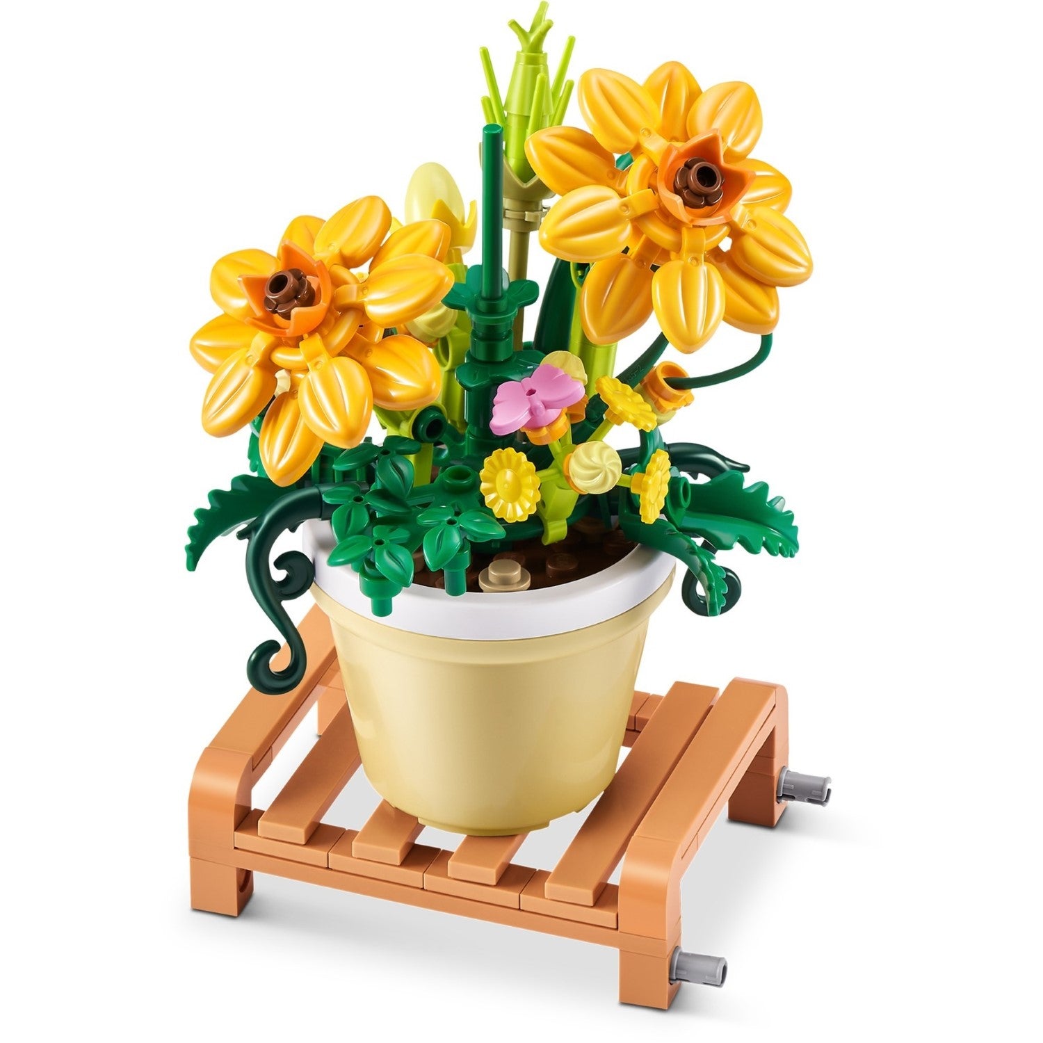Max Plantes de jardin de qualité supérieure - PDQ