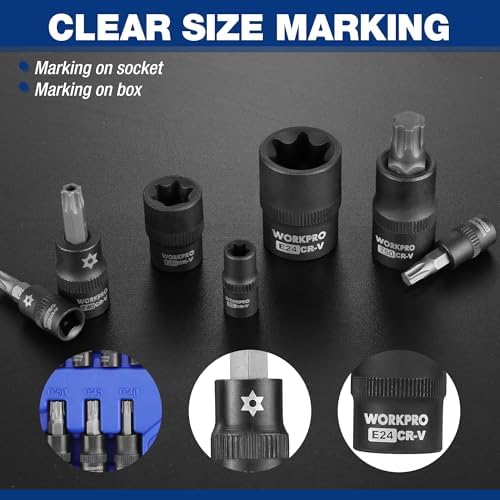 WORKPRO Jeu de 60 Pièces de Douilles d'Embouts Torx Master, Embouts 1/4", 3/8", 1/2", E4-E24, T6-T70, TT6-TT70, TP8-TP60, avec Étui de Rangement Amélioré