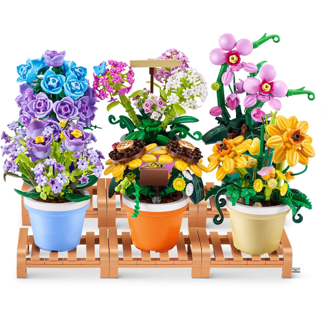Max Plantes de jardin de qualité supérieure - PDQ