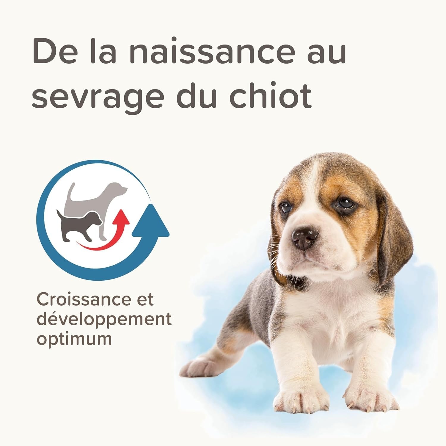 BEAPHAR Lactol Poudre de substitut de lait pour chiots – 250 g