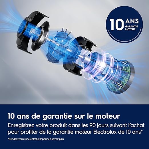 Electrolux 600 EB61C4OG Aspirateur traîneau avec sac