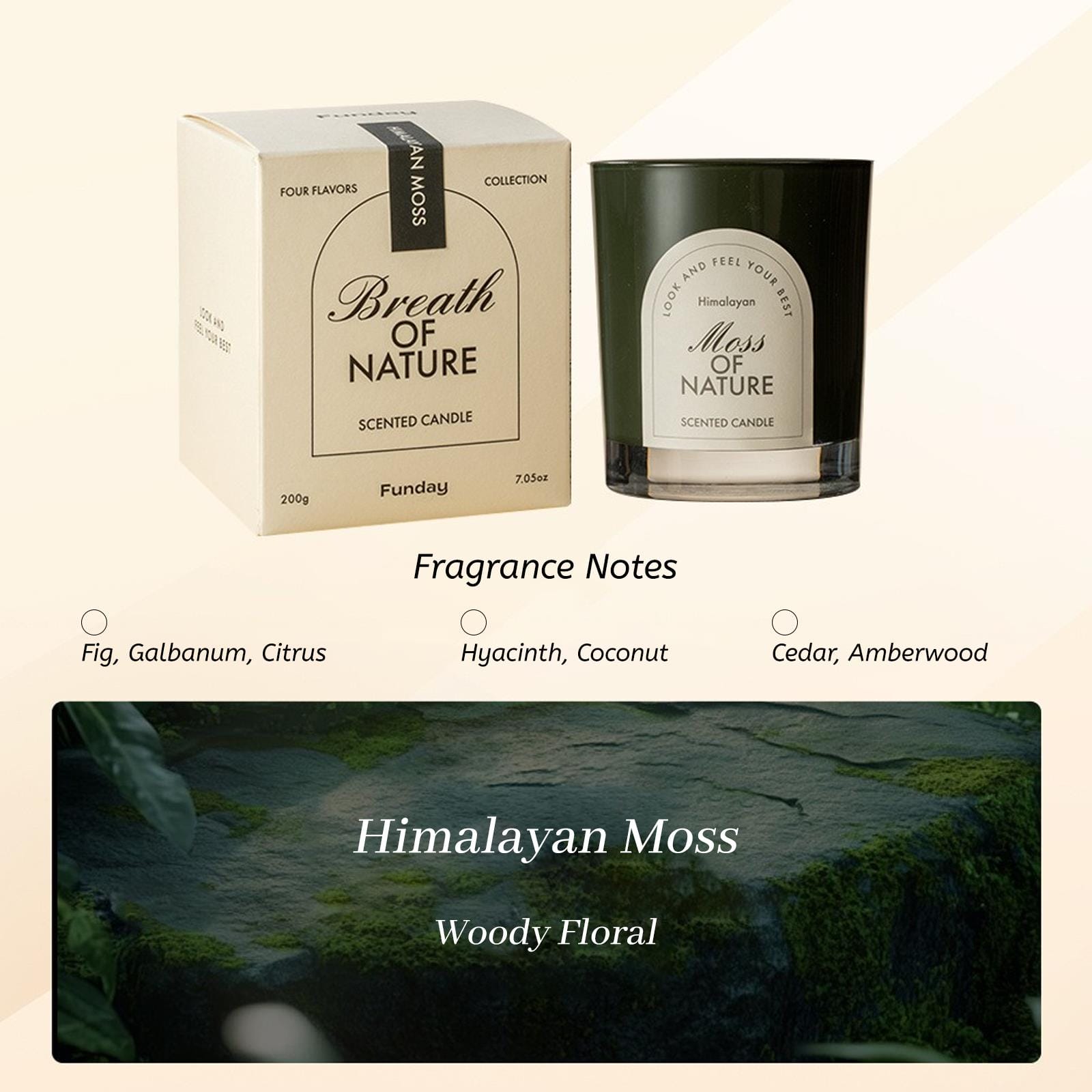 Zooly Bougie parfumée en gobelet à fond épais - Souffle de la nature, Mousse de l’Himalaya (Vert), 200 g, 1 pièce