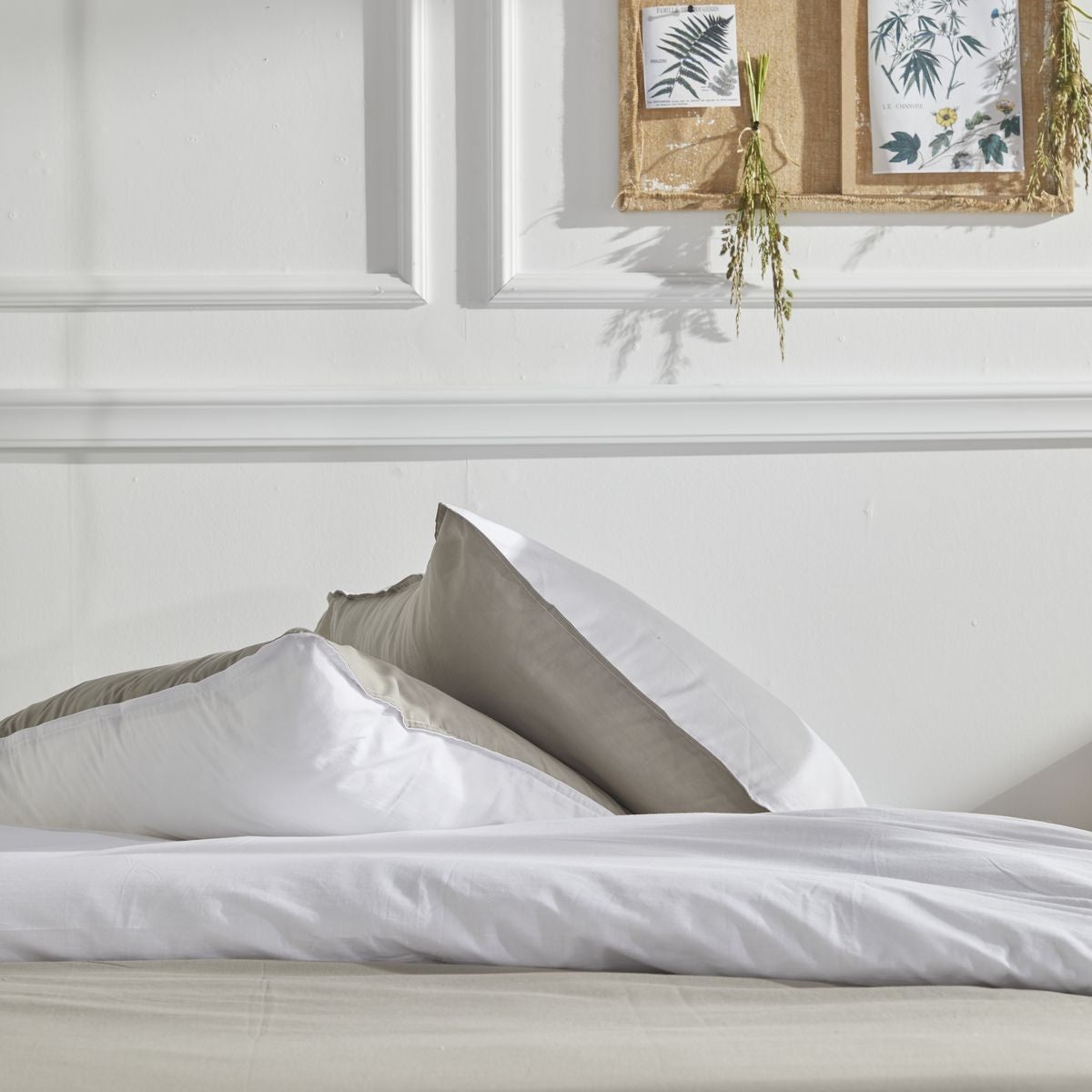 TODAY Parure de lit 2 personnes en coton Charme, 57 fils, Coloris Dune/Craie