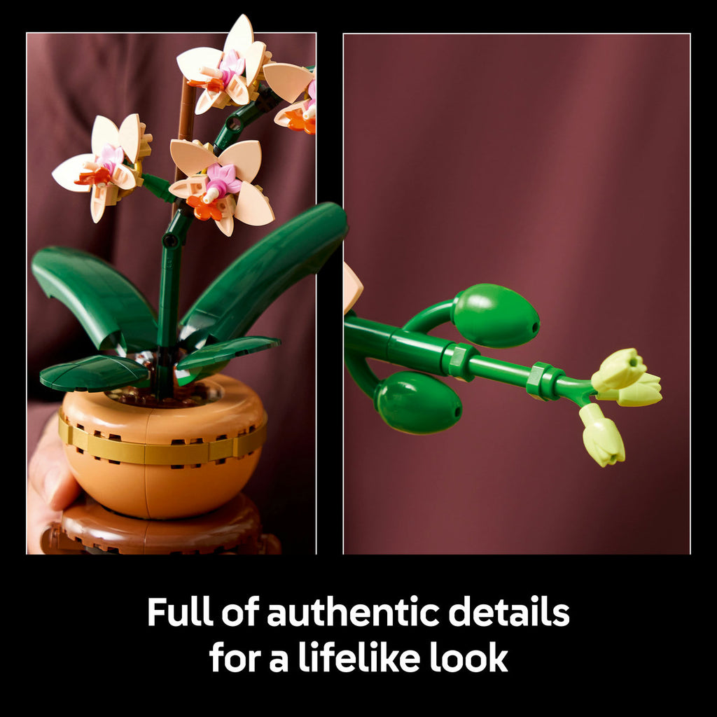 LEGO Botanicals Mini orchidée Set de construction