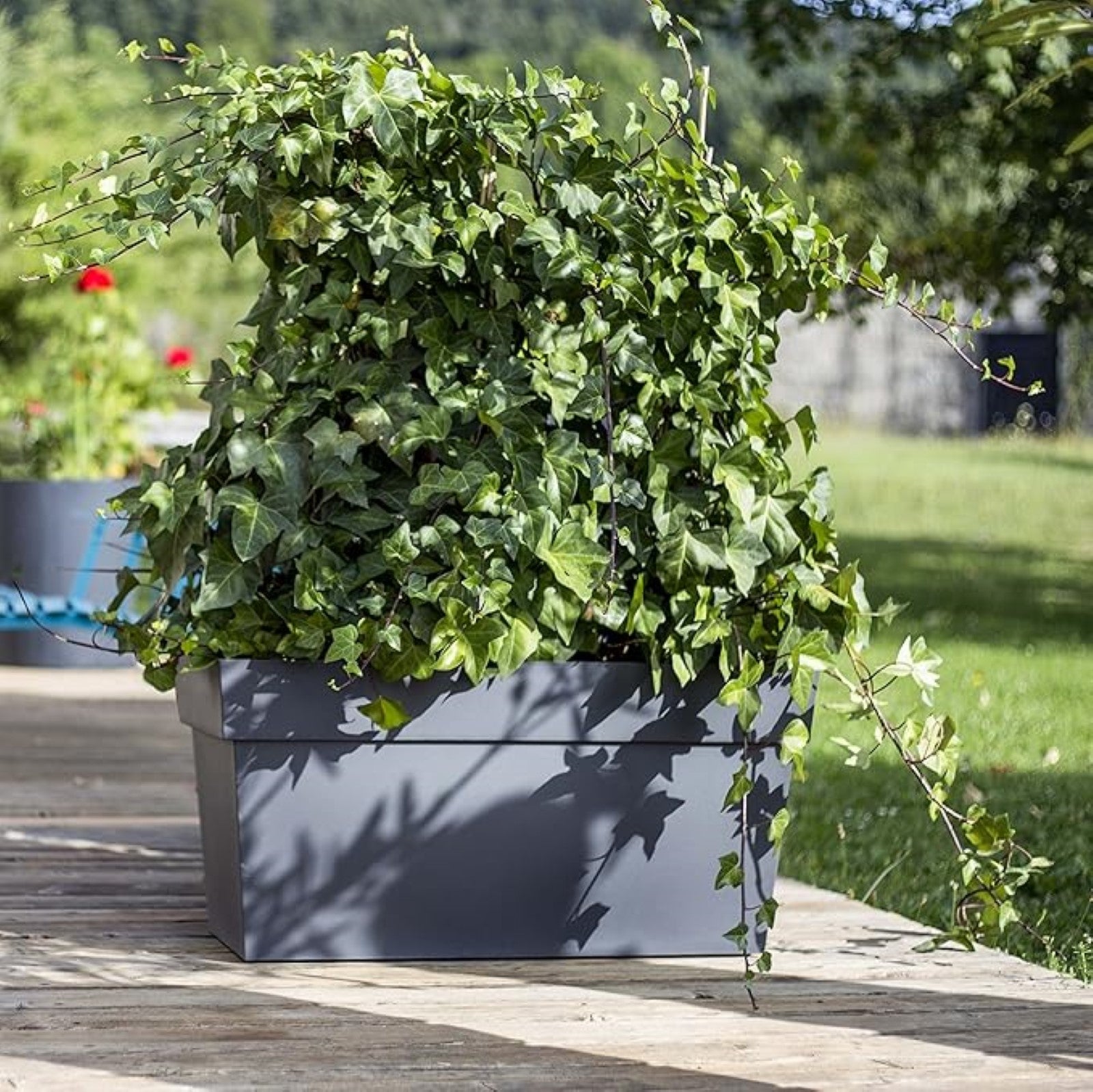 EDA - Muret Toscane 80 cm - Jardinière à roulettes - Volume 74 L - avec Réserve d'eau et Grille Filtrante + Goulotte d'Arrosage - 79 x 35 x H. 39 cm - Gris Anthracite