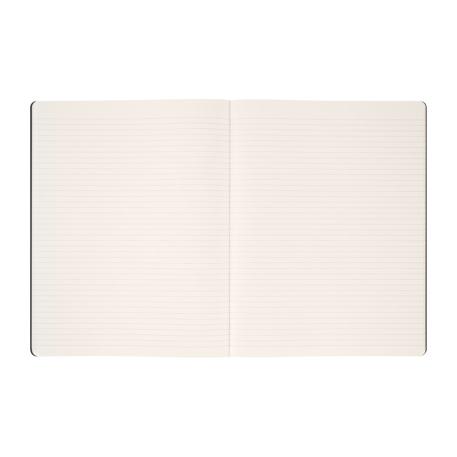 MOLESKINE Cahier XL Année du Cheval