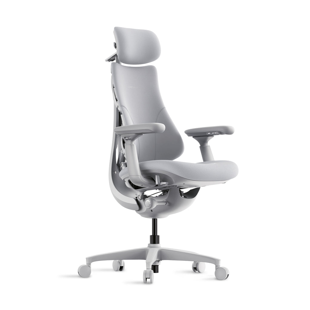 LiberNovo Omni Chaise ergonomique dynamique Gris sidéral 48 cm 1 pièce