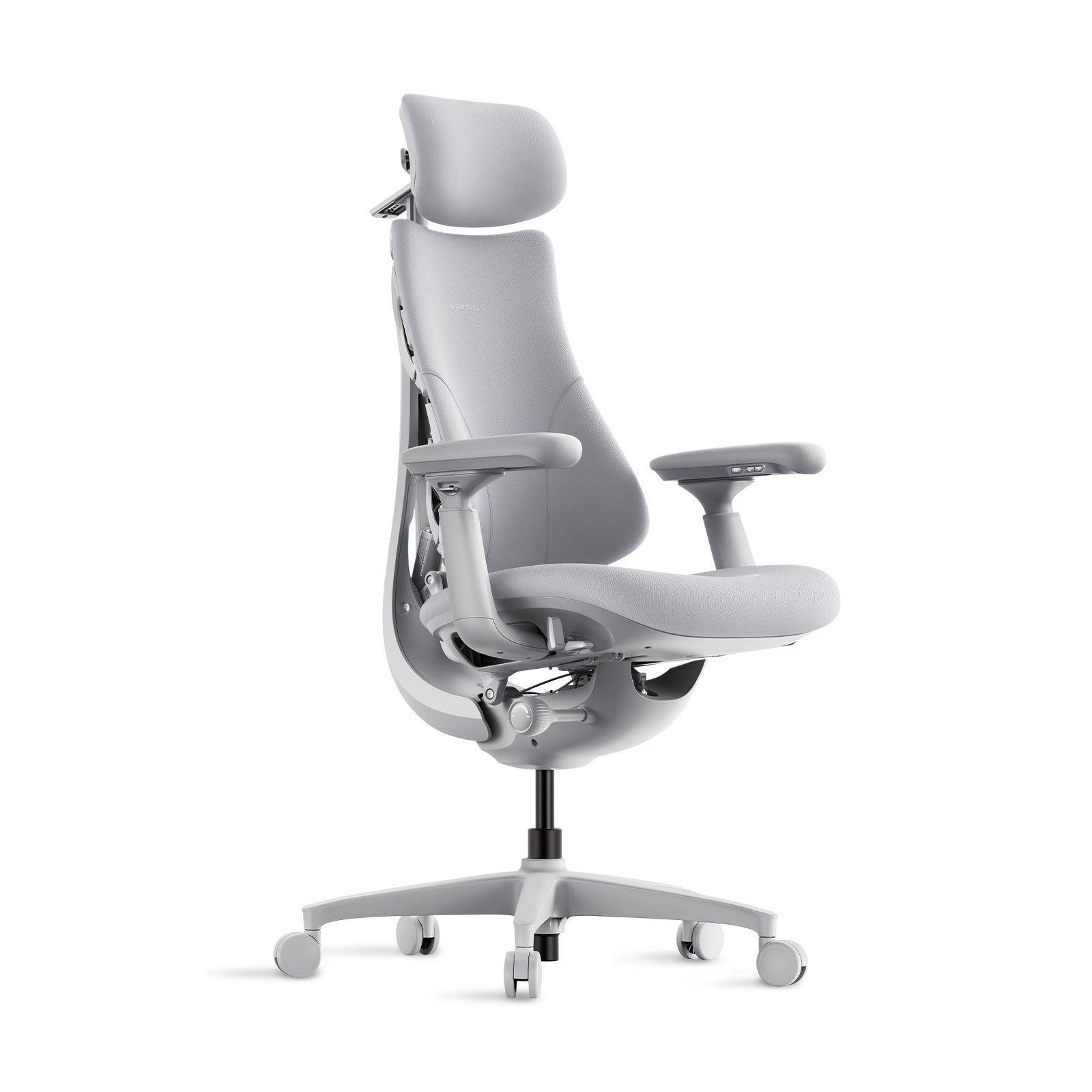 LiberNovo Omni Chaise ergonomique dynamique Gris sidéral 48 cm 1 pièce