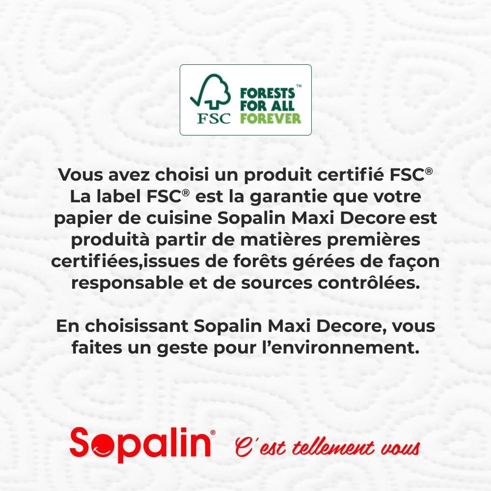 SOPALIN Essuie-Tout Motif Décoratif Certifié FSC, 3 Maxi Rouleaux