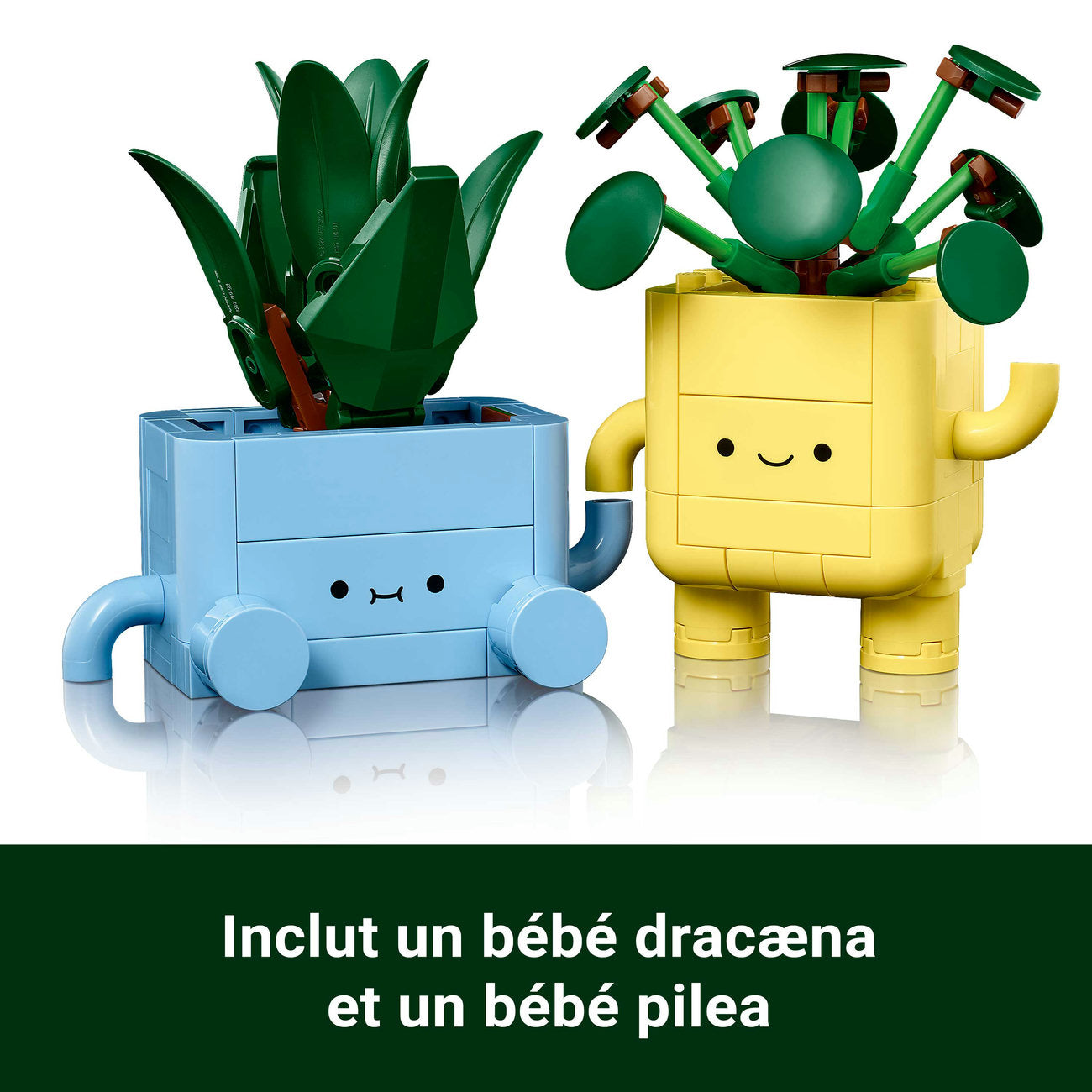 LEGO Botanicals 10349 Petites plantes souriantes