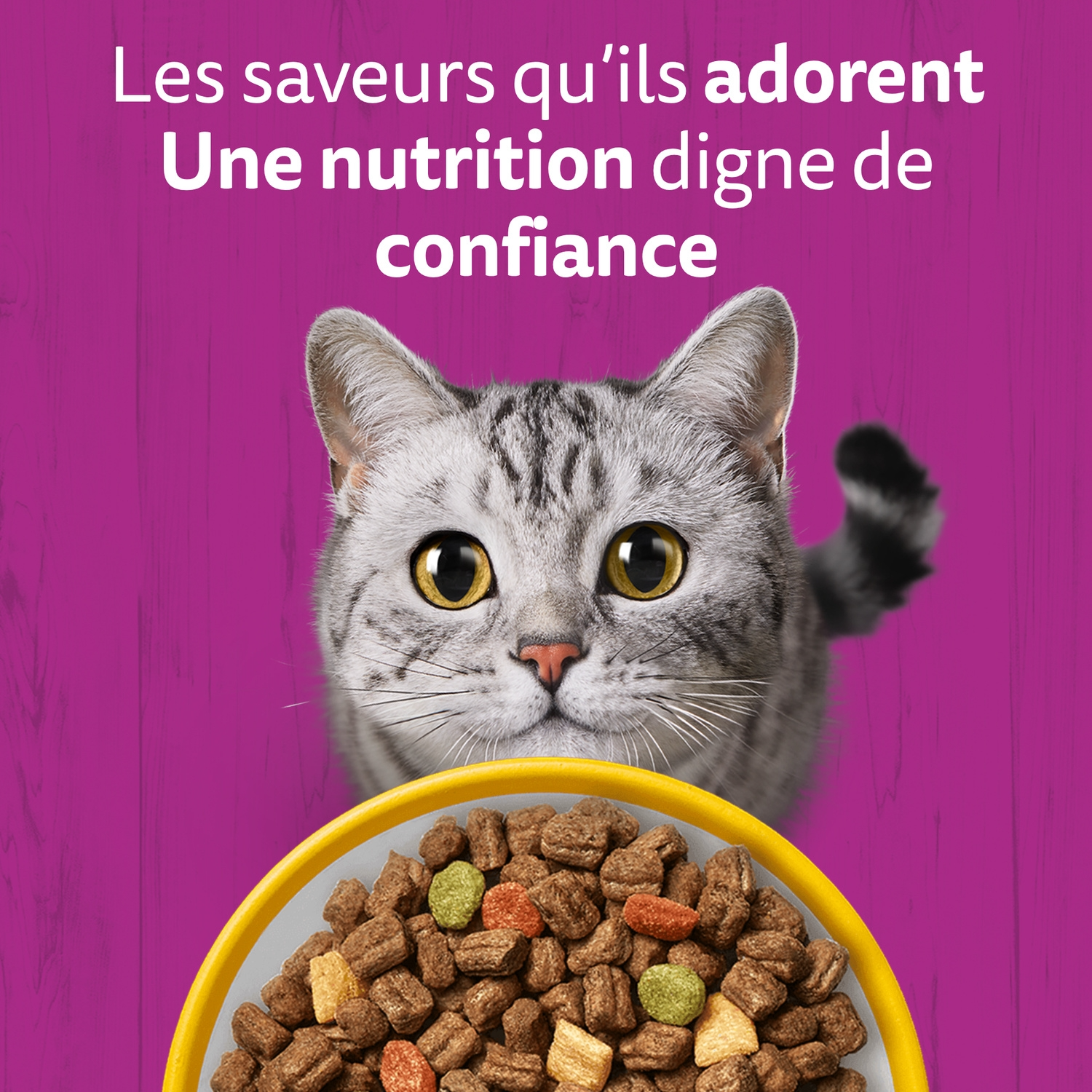 Whiskas Croq Poulet Croquettes pour Chat 1,4 kg