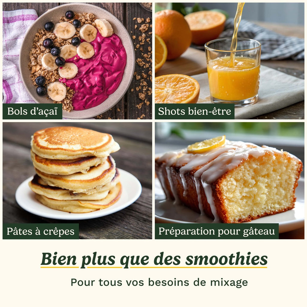 Cuisinart Mixeur portable Blast et Go - PBL100E