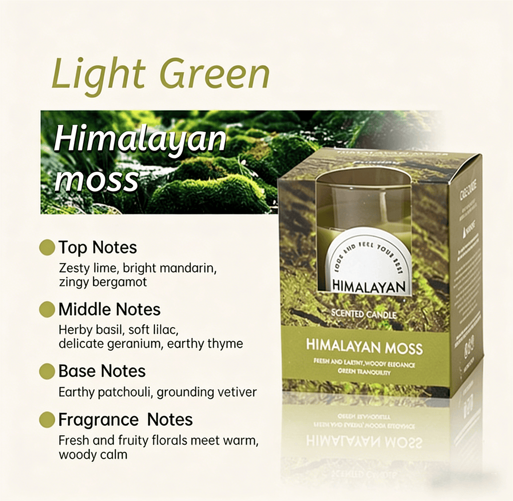 Zooly Bougie parfumée colorée transparente - Mousse de l’Himalaya (Vert clair), 140 g, 1 pc