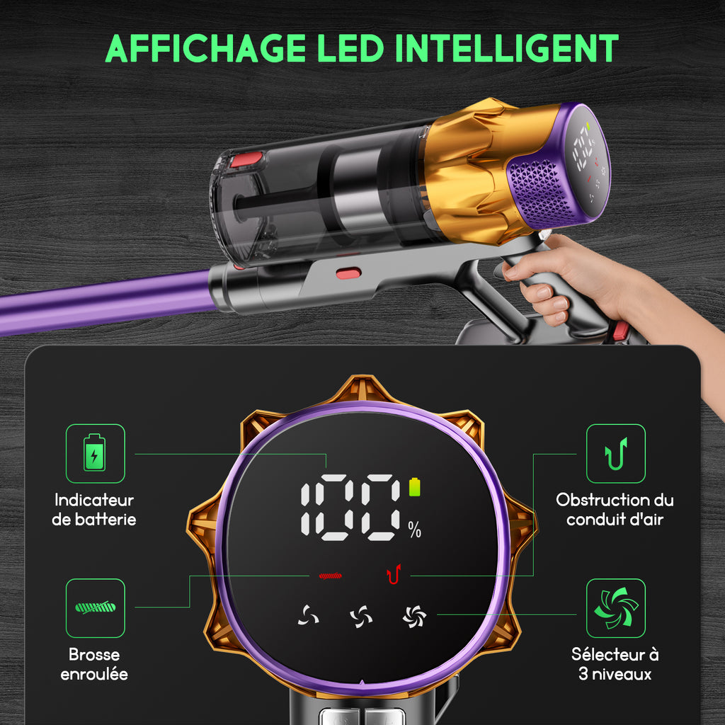 Aspirateur sans fil Daynee, aspiration 65 kPa / autonomie de 70 min, avec affichage, tuyau de 1 m, brosse anti-emmêlement, filtration HEPA*4, pour poils d'animaux, tapis et sols durs