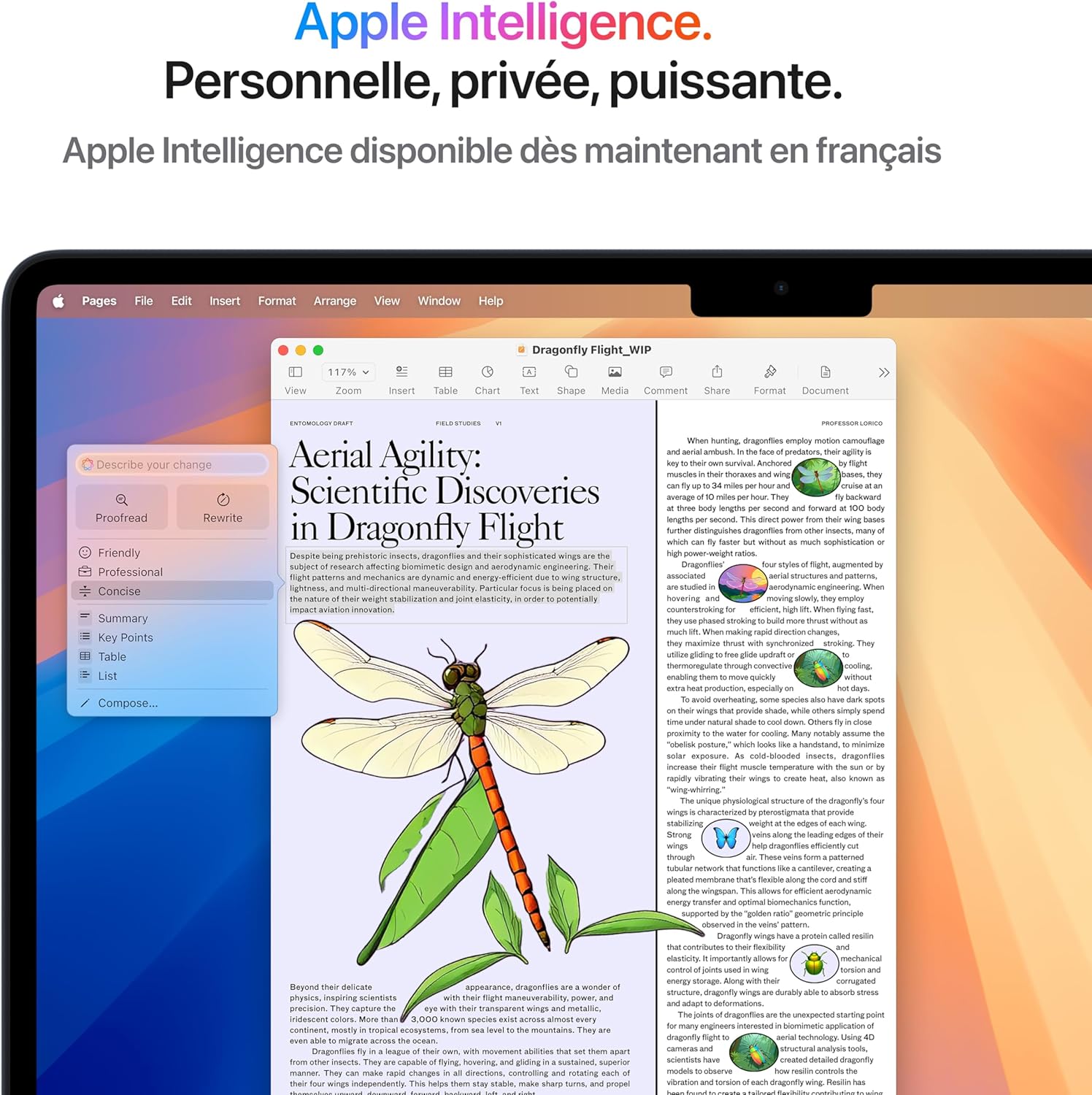 Apple MacBook Air 15 pouces (M4, CPU 10 cœurs / GPU 10 cœurs) 16 Go RAM, 256 Go SSD - Lumière stellaire, AZERTY