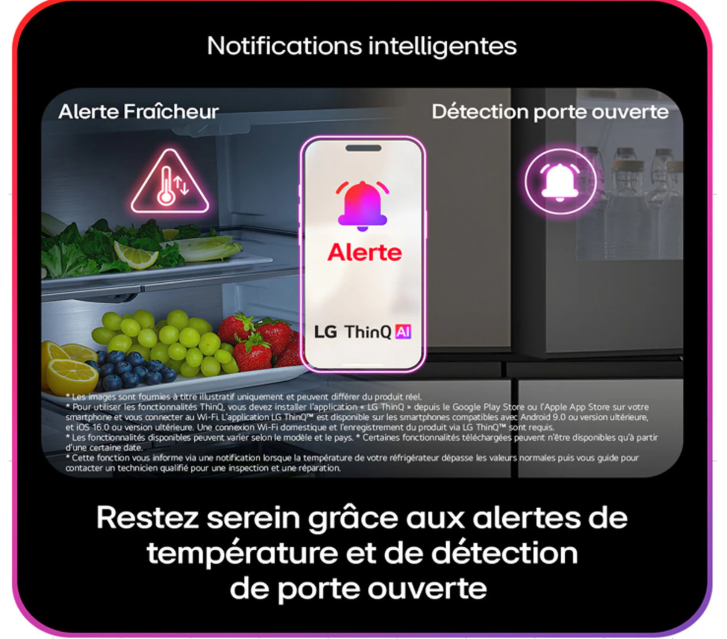 LG GSXE90BSAD Réfrigérateur américain 628 L Acier inoxydable Classe énergétique D
