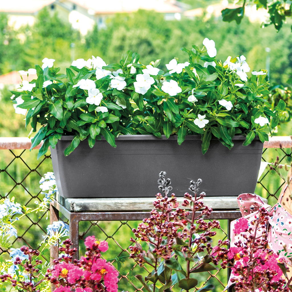 DEROMA Support de plante Day R, anthracite, 60 cm