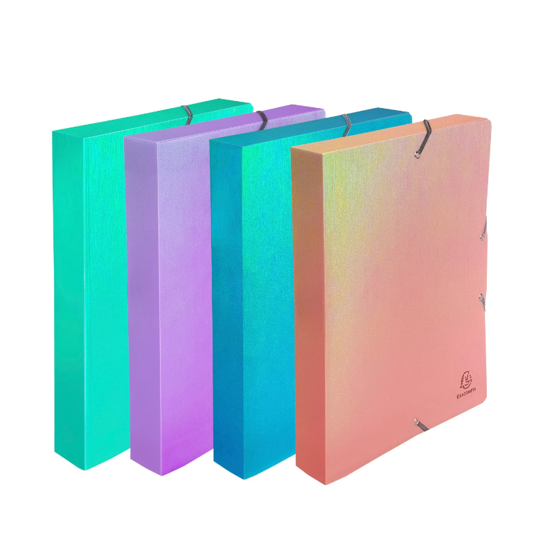 Exacompta Corbeille à Courrier Élastiquée Arrière 40 mm PP Candy Tidy - Couleurs Assorties