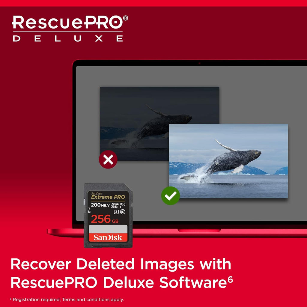 Carte Mémoire SanDisk Extreme PRO SDXC 256 Go