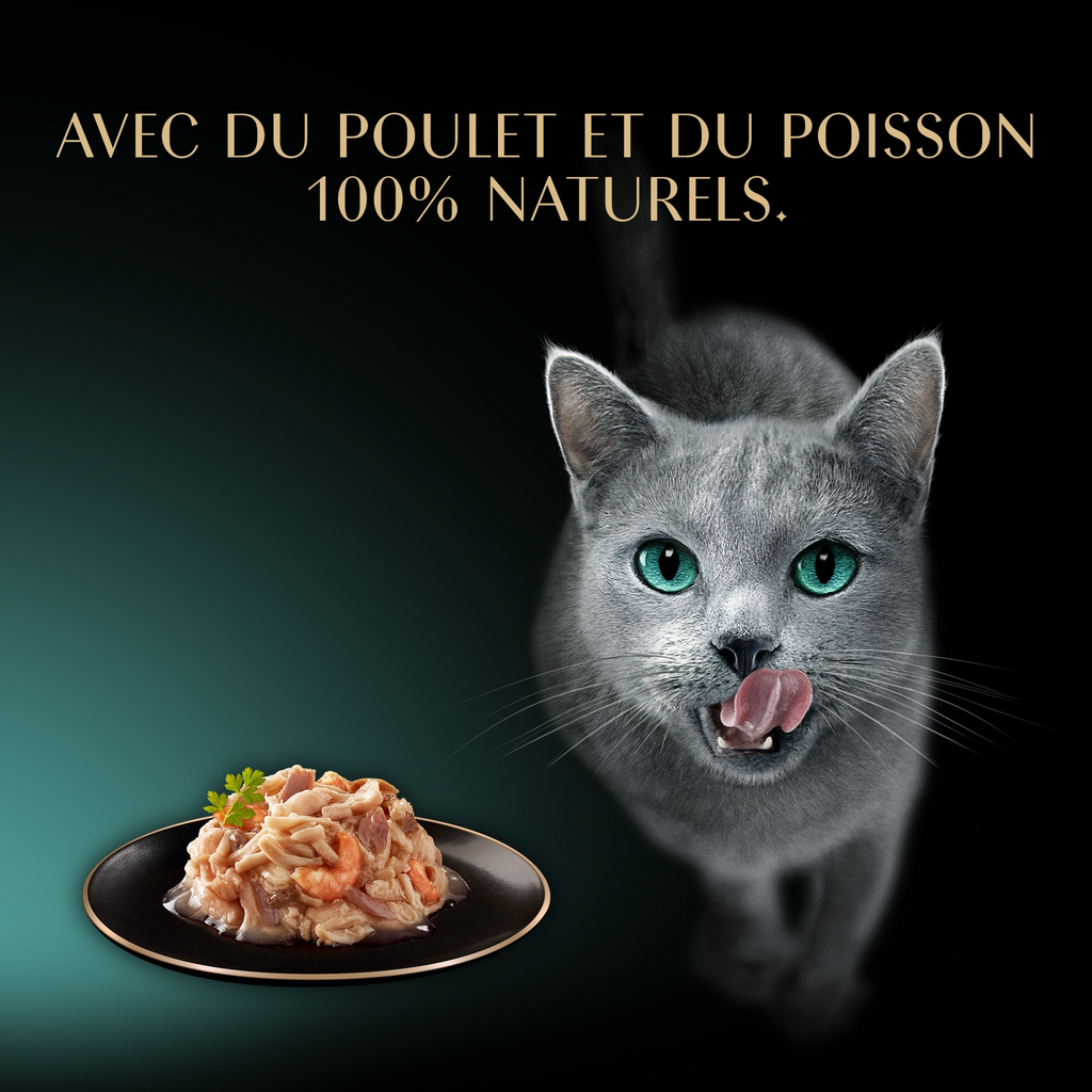 Sheba Friandises pour chat au poulet, aux crevettes et aux filets de poisson de l'océan - 60 g