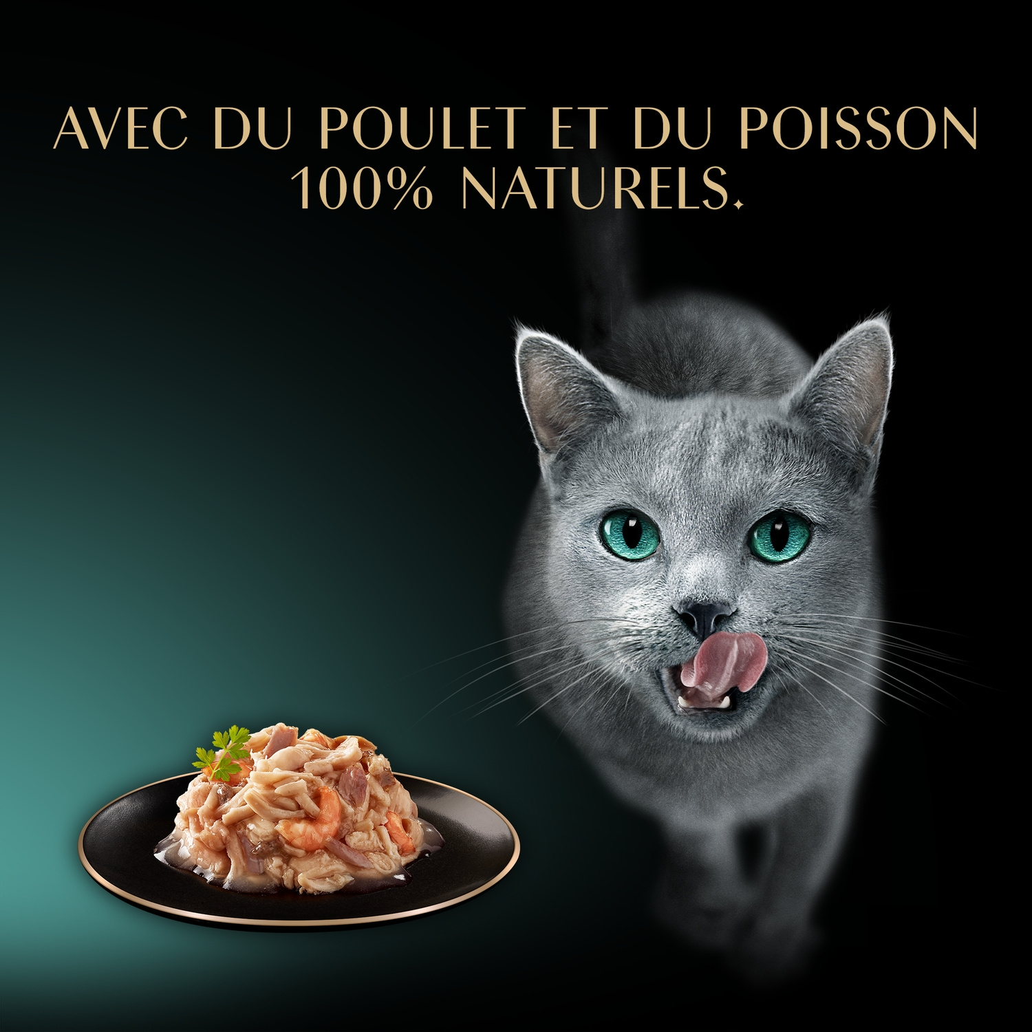 Sheba Friandises pour chat au poulet, aux crevettes et aux filets de poisson de l'océan - 60 g
