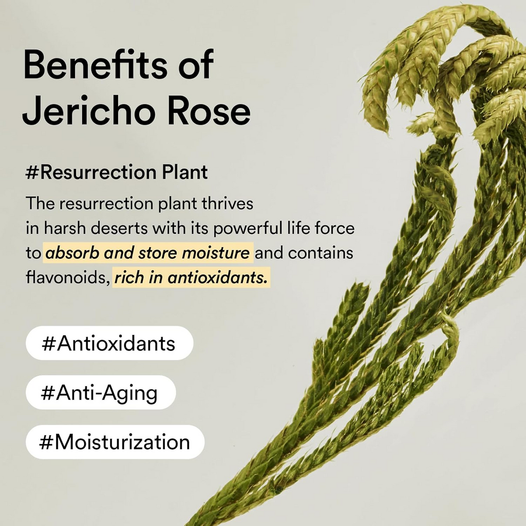 ABIB Crème Nourrissante Jericho Rose Tube 75ml