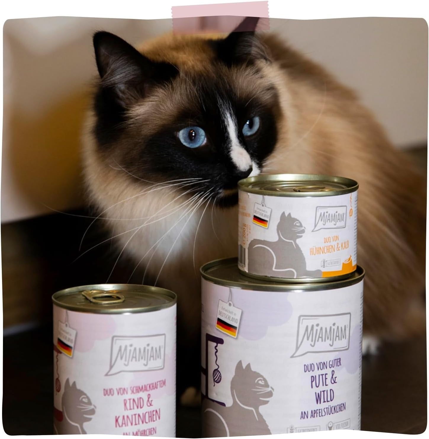 [Peut être servi frais pour l'été] MjAMjAM Duo de nourriture humide pour chat bœuf lapin carotte - 400 g x 6