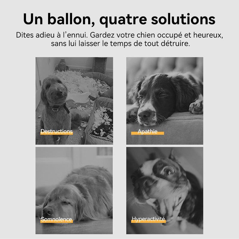 BLINKIT Ballon de Foot Gonflable pour Chien, Jouet Interactif Léger et Élastique, Résistant à l'Usure, Taille 15cm