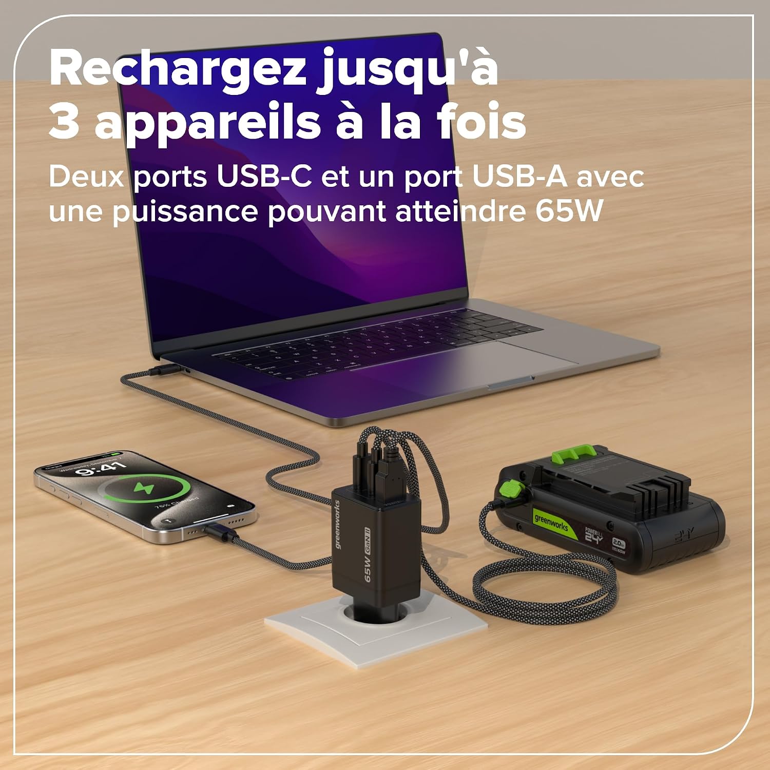 Greenworks Kit de Démarrage 24 V 1x Batterie USB HP 2 Ah + Chargeur 65 W + Câble 100 W 1 m