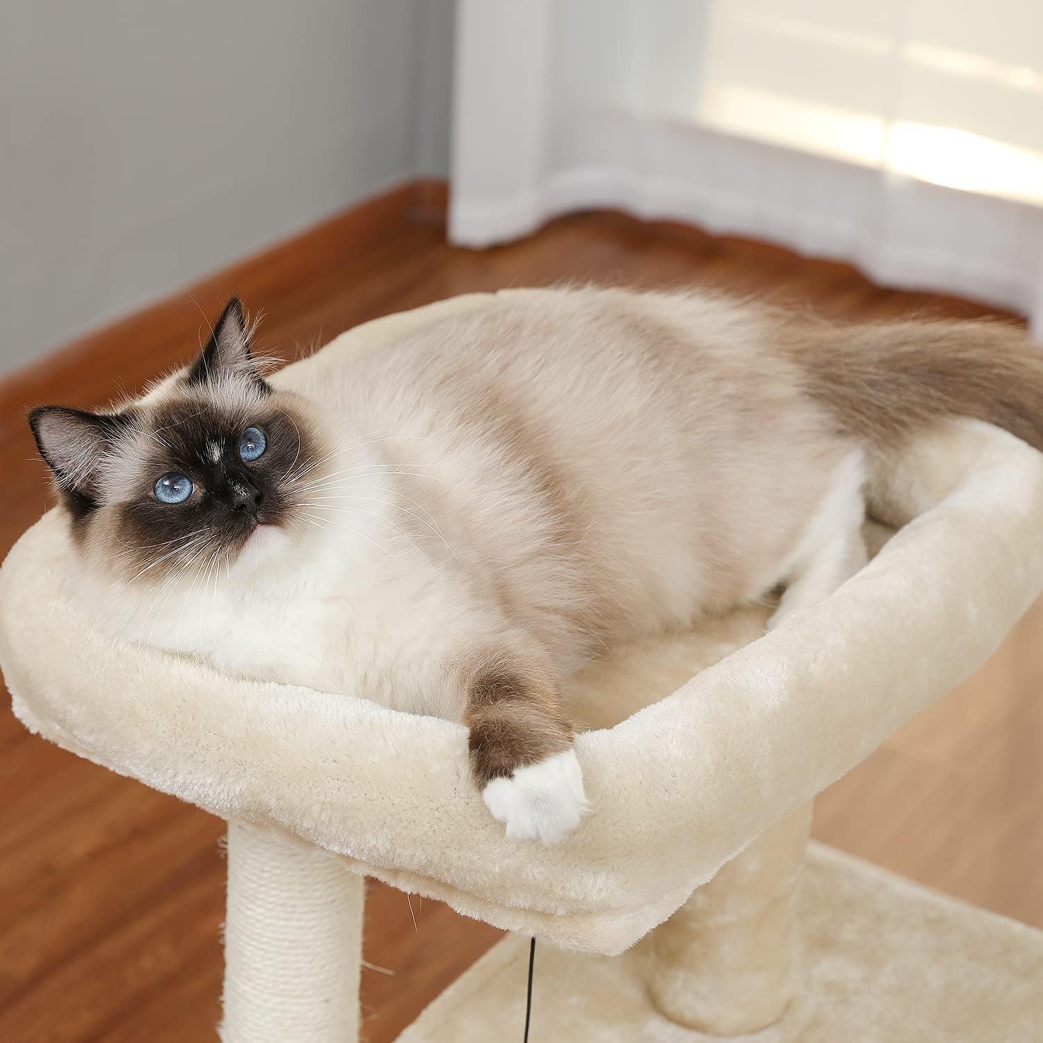 PAWZ Road arbre à chat, griffoir 51 cm, meuble pour chat avec corde en sisal, panier en peluche, maisonnette creuse, jouet pour chats, beige