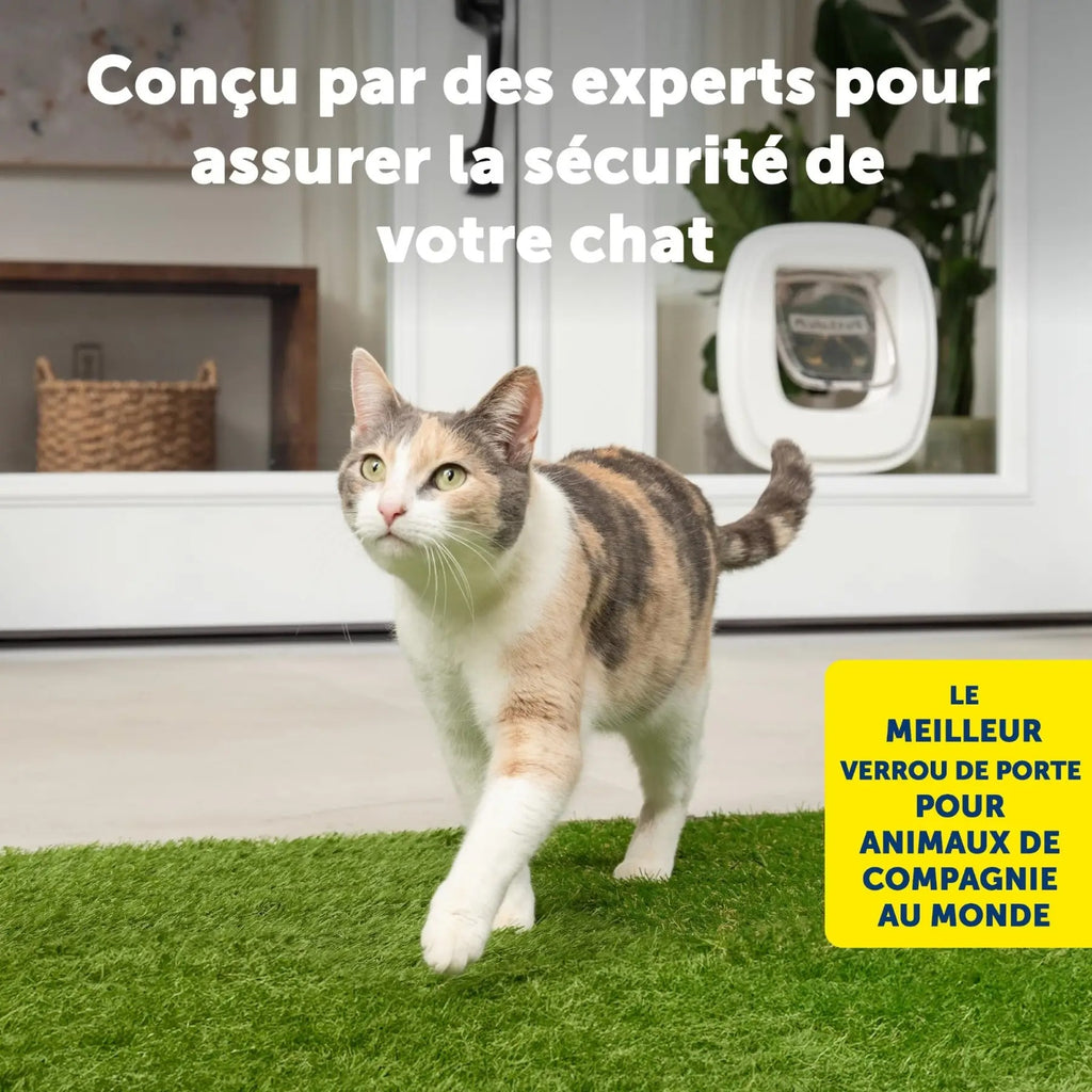 Petsafe adaptateur chatière grands chats, fixation verre