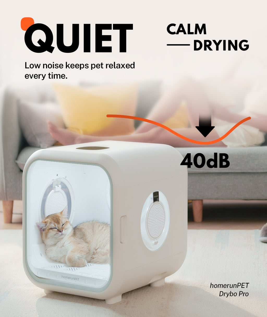 Homerunpet Drybo Plus Séchoir automatique pour chiens et chats, capacité 62 L, 437 x 467 x 486 mm, température, niveau de chaleur, débit d’air et durée de séchage personnalisables, double mode, adapté à tous les stades de vie des chats