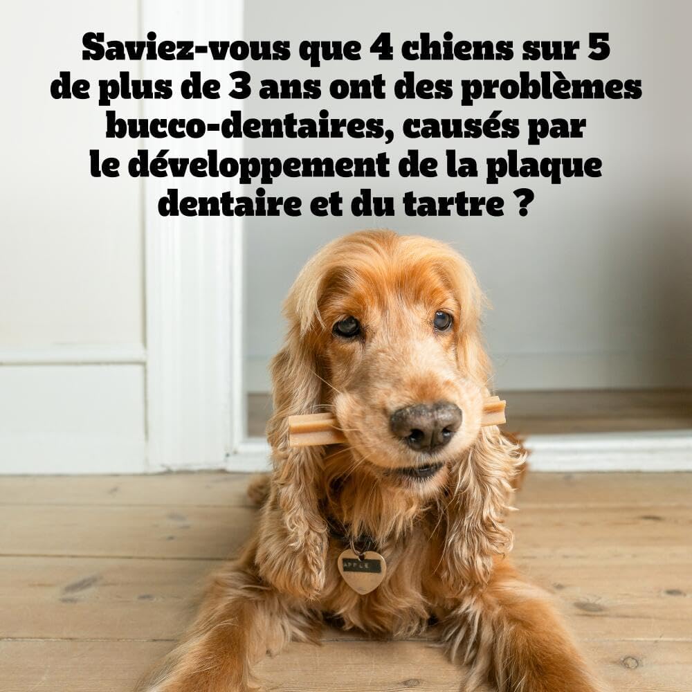Pedigree Dentastix Friandises pour Chiens Soin Dentaire 1 Mois 25 kg+, 28 Bâtonnets