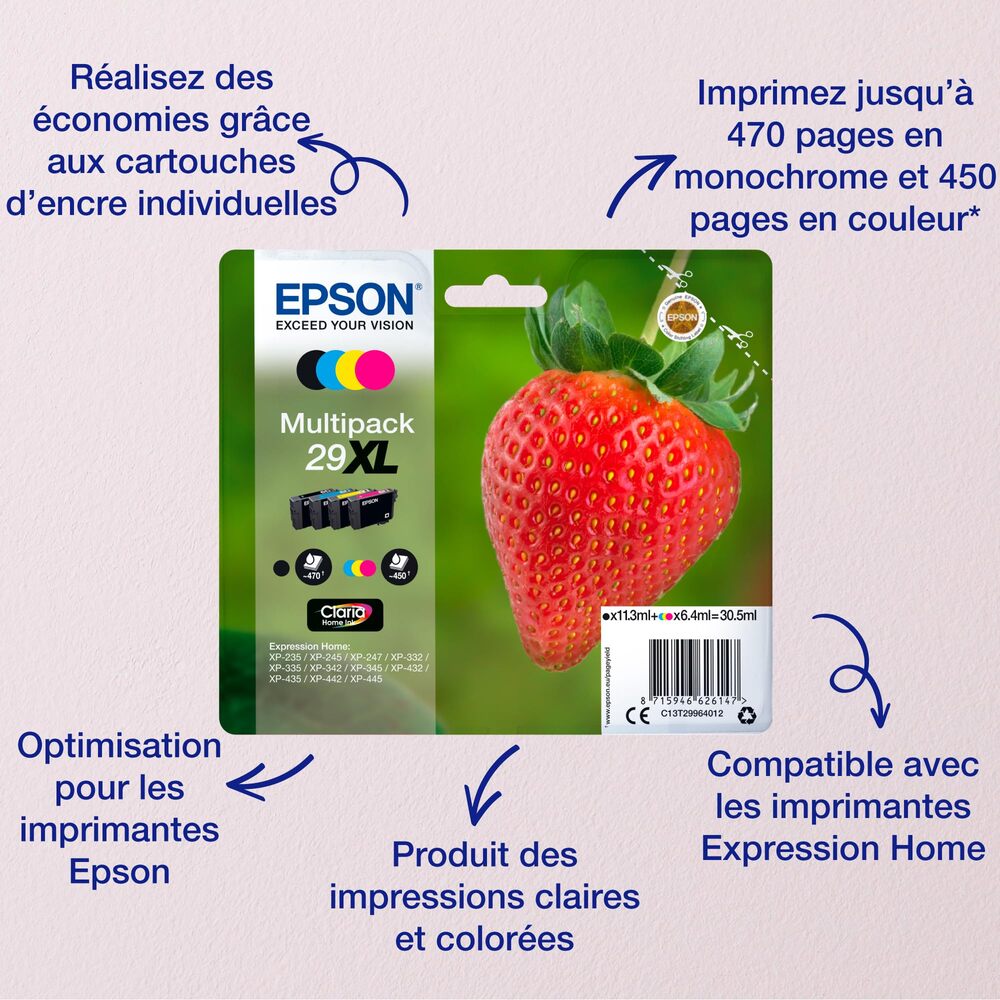 Epson Cartouche d’encre noire 29 Claria Home Fraise, Pack simple