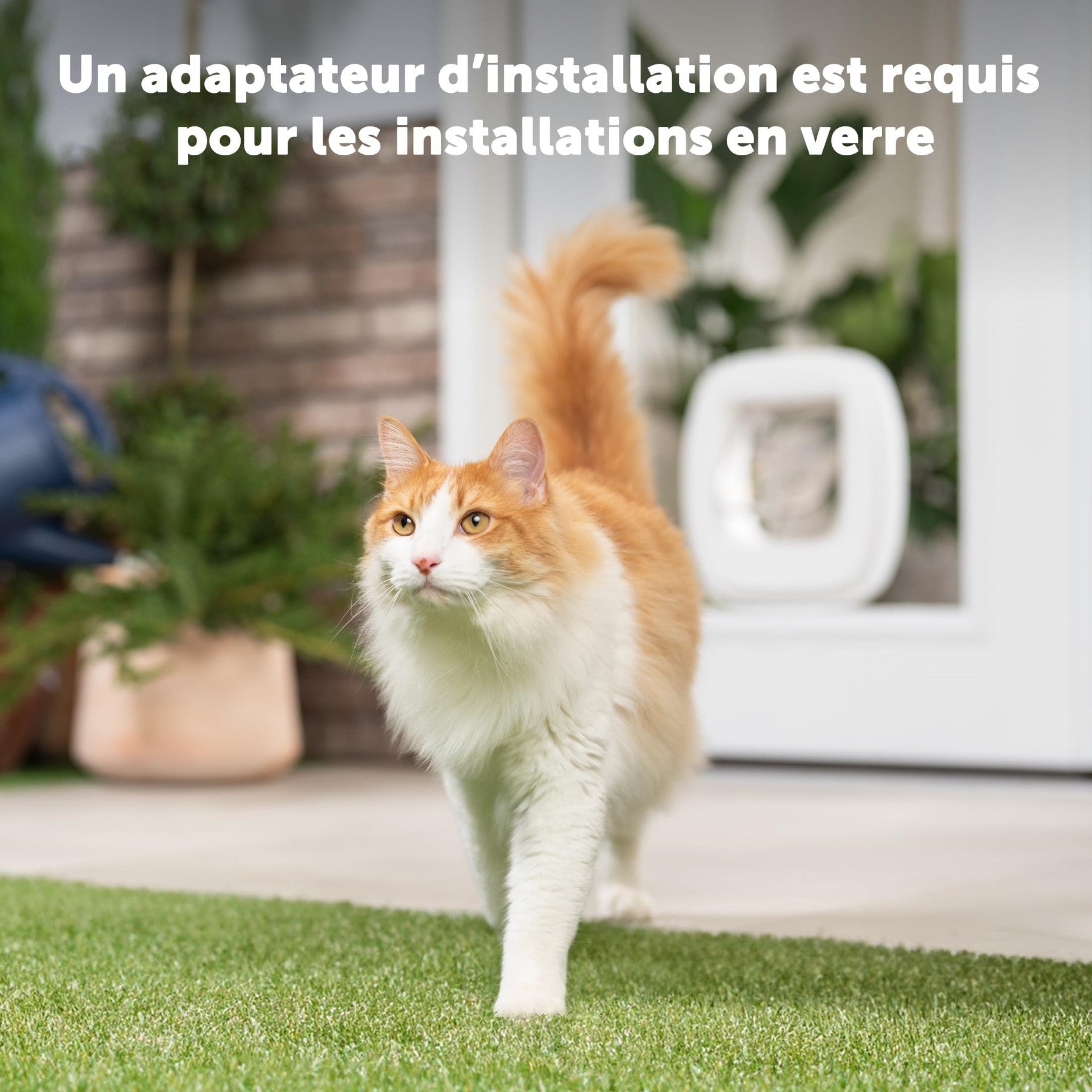 Petsafe adaptateur chatière grands chats, fixation verre